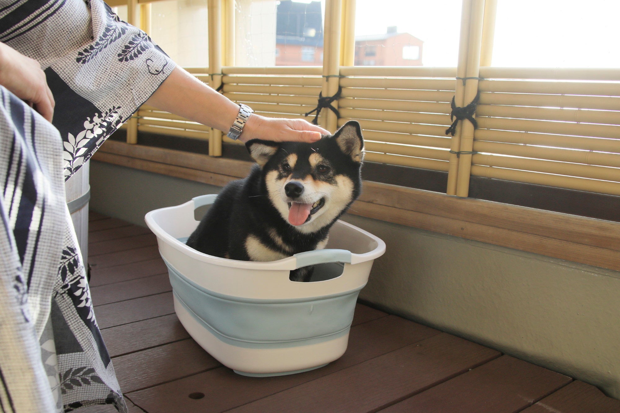 ワンちゃん専用のバスタブも貸し出し