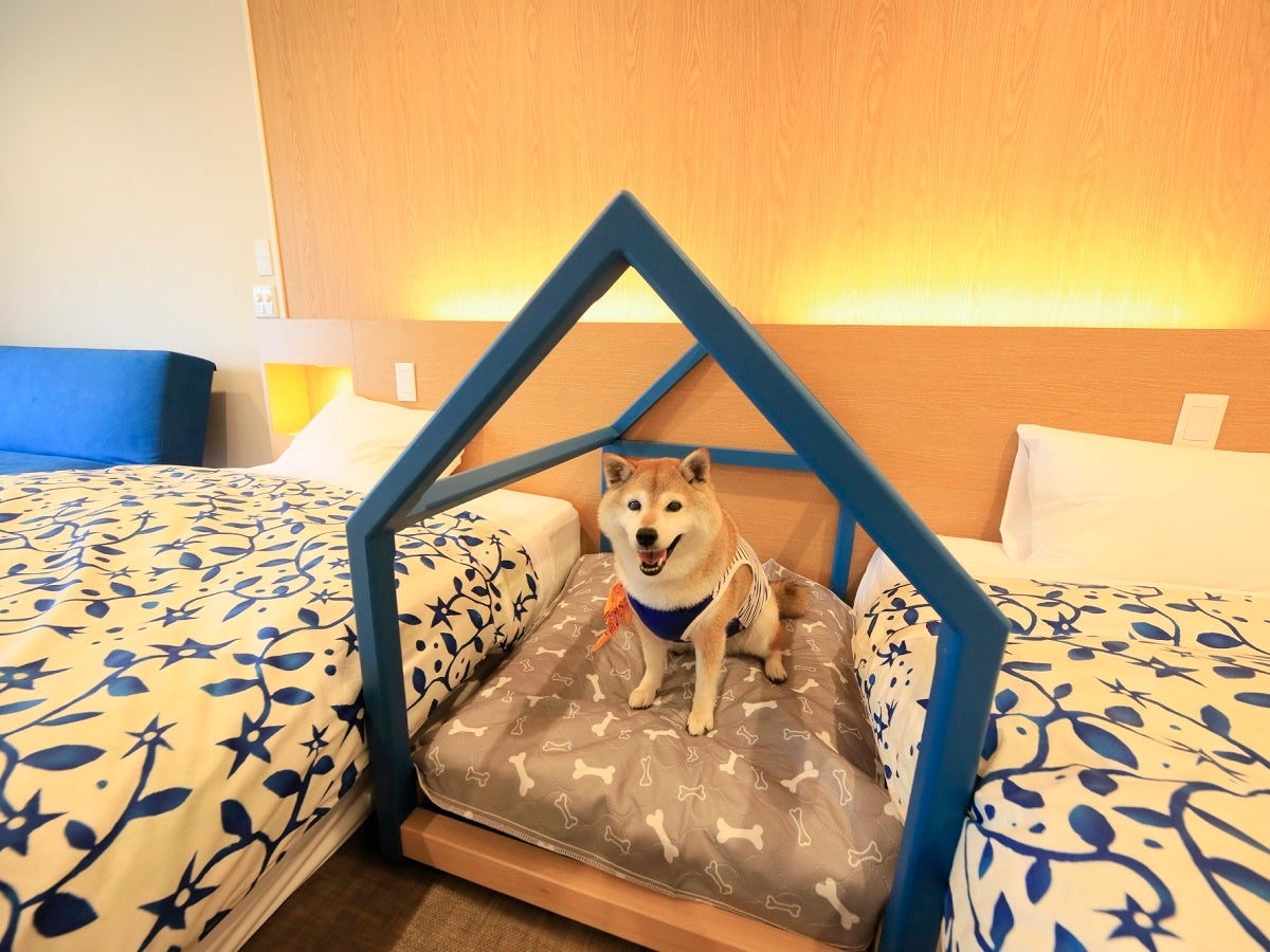 ドッグフレンドリールーム（ゆるり西伊豆）