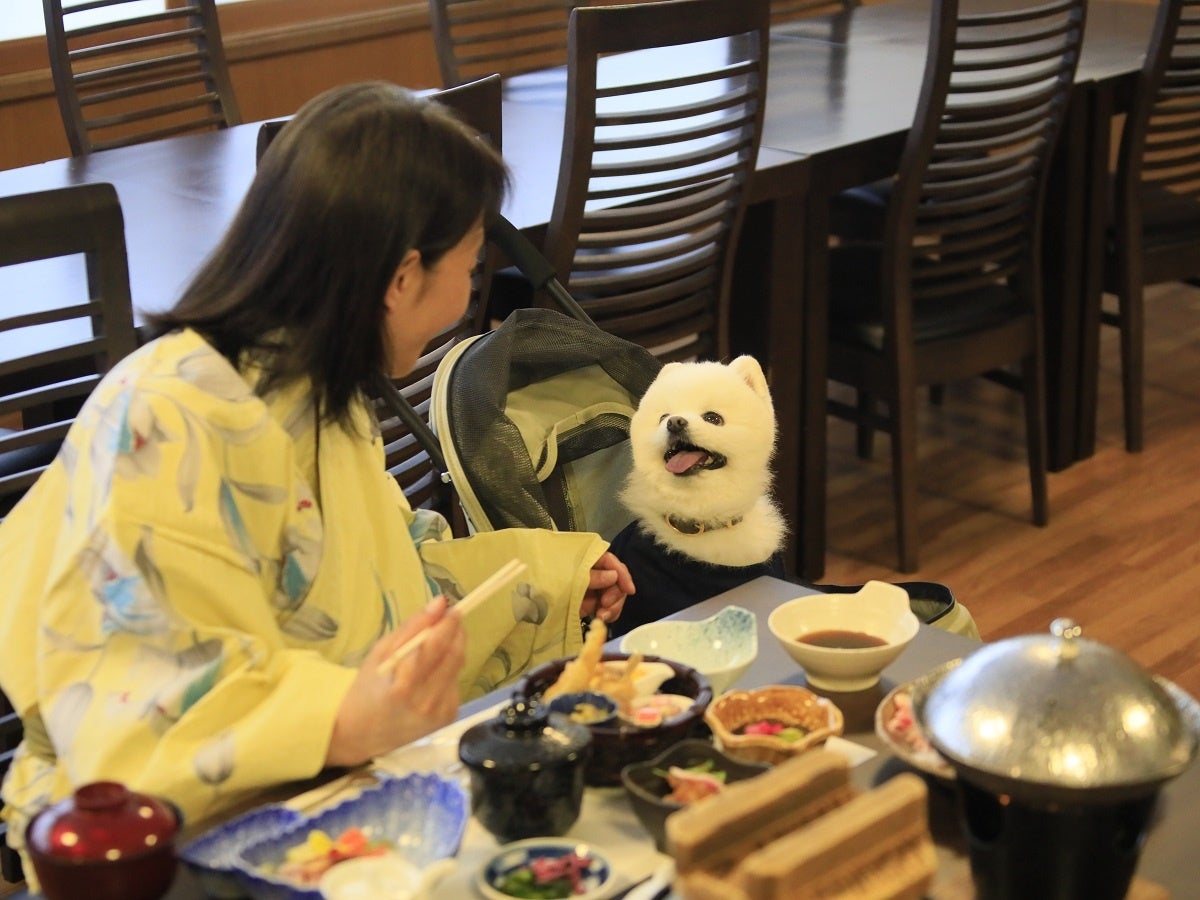 レストランでのお食事（ゆとりろ洞爺湖）