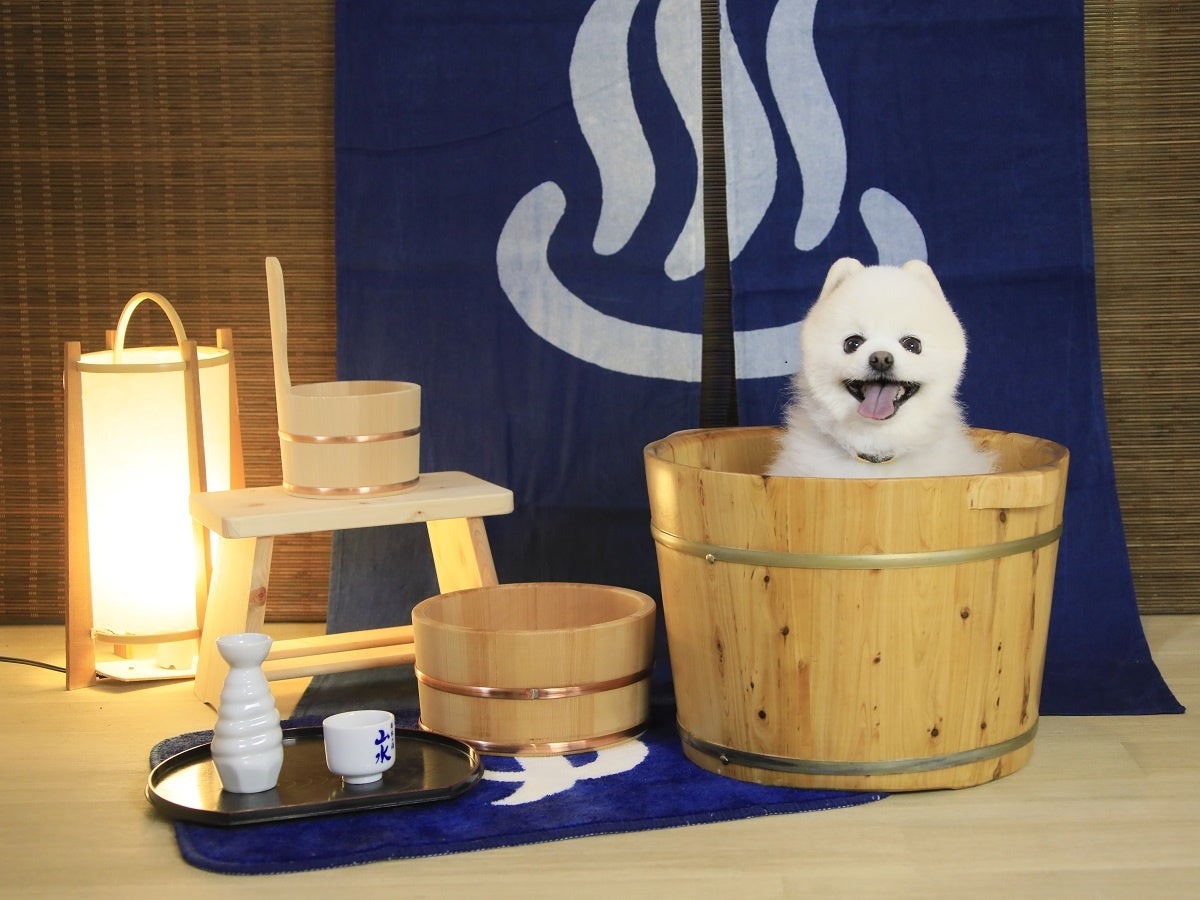 愛犬用フォトスポット