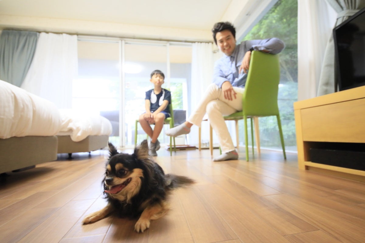 わんダフルステイルームでワンちゃんとご宿泊