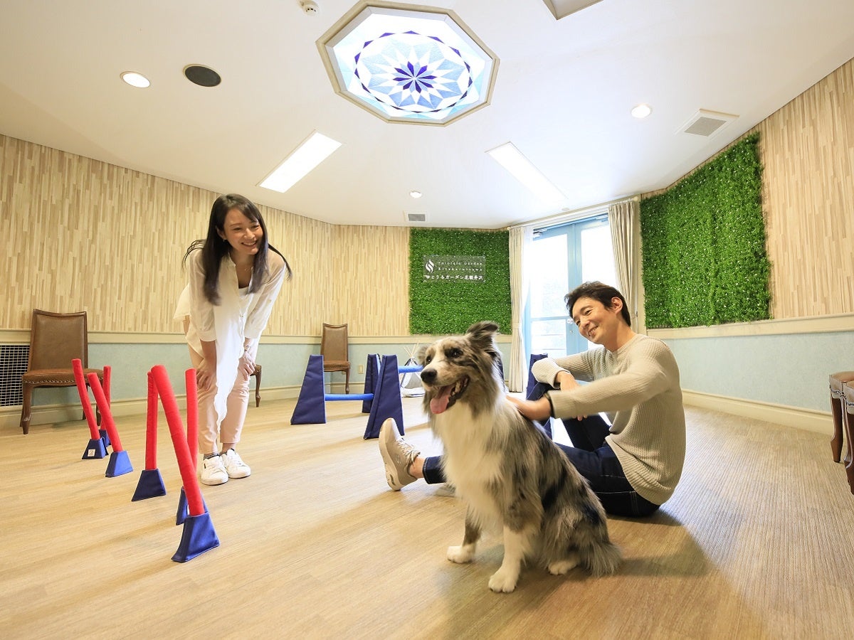 屋内ドッグラン（ゆとりろガーデン北軽井沢withDOGS)