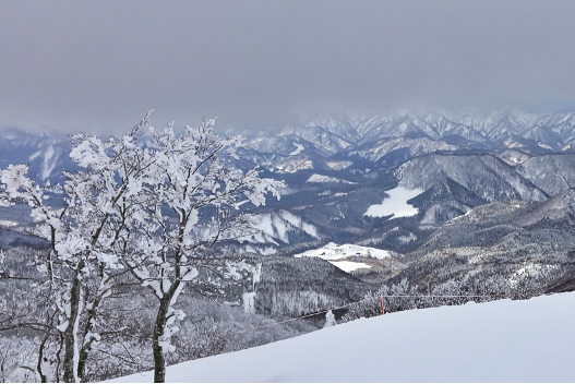 大館の雪景色