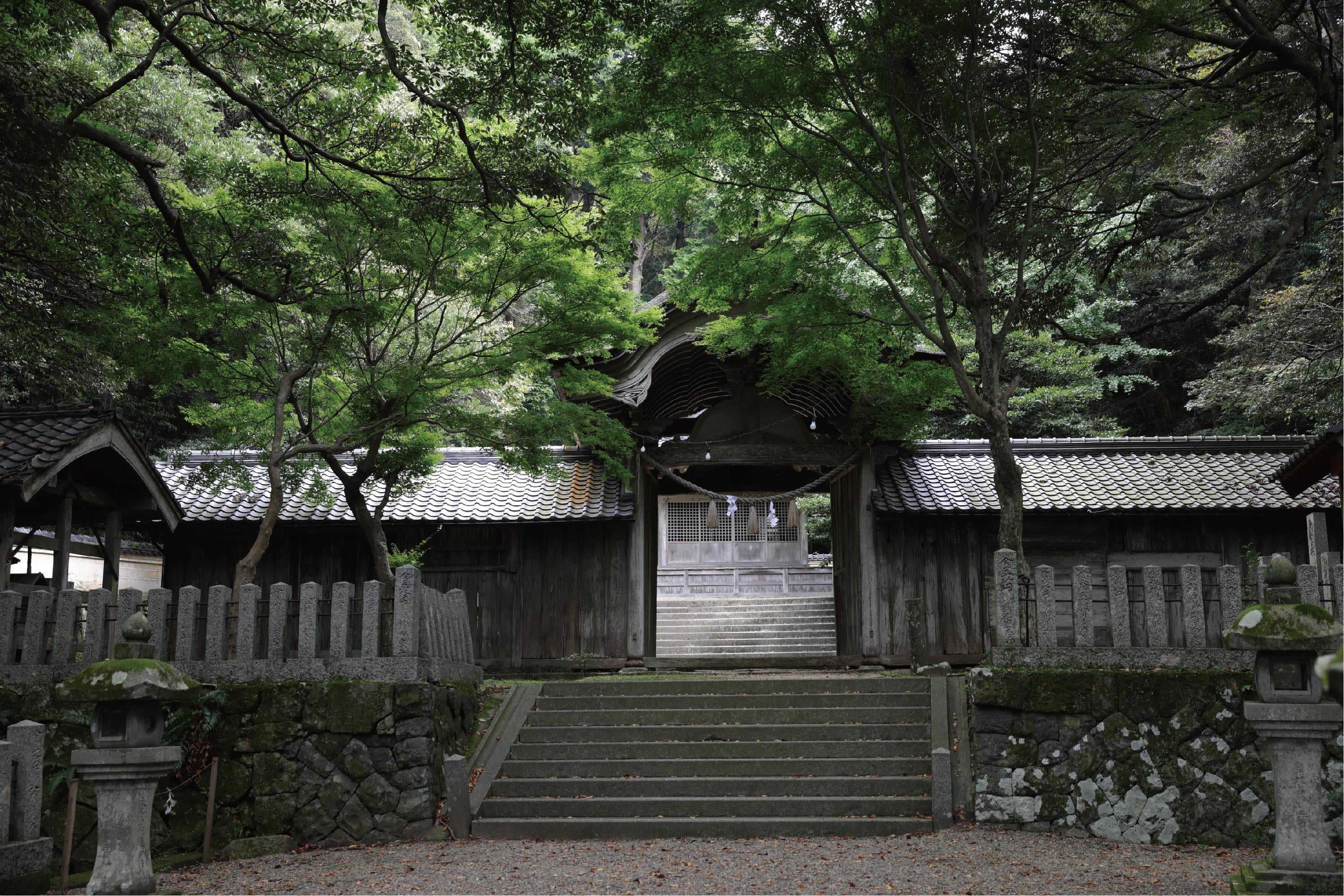 竹野神社 写真：森川昇