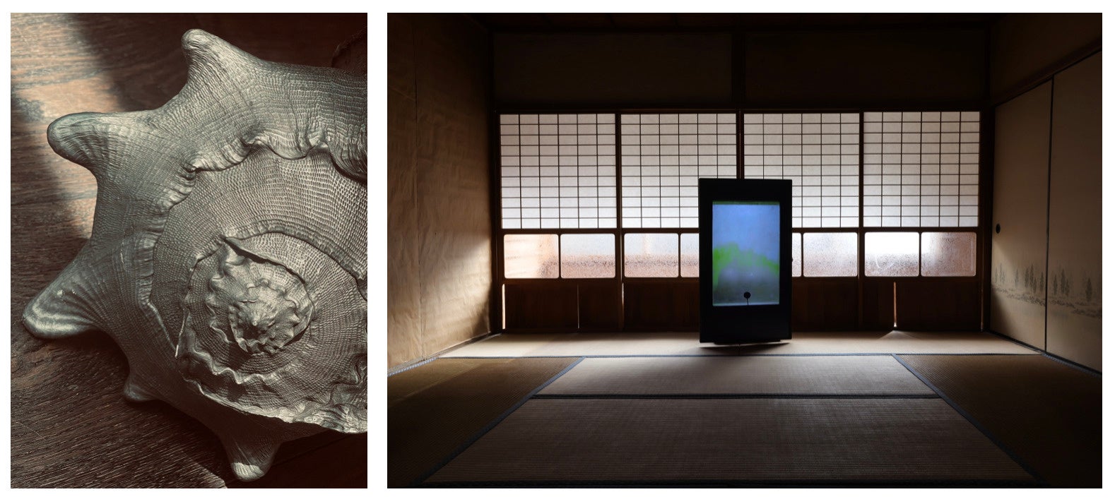 左：テレジータ・フェルナンデス「Soliloquy(Taiza)」（部分）2022年　右：サムソン・ヤン「Reasonable music(Lyrica)」2022年