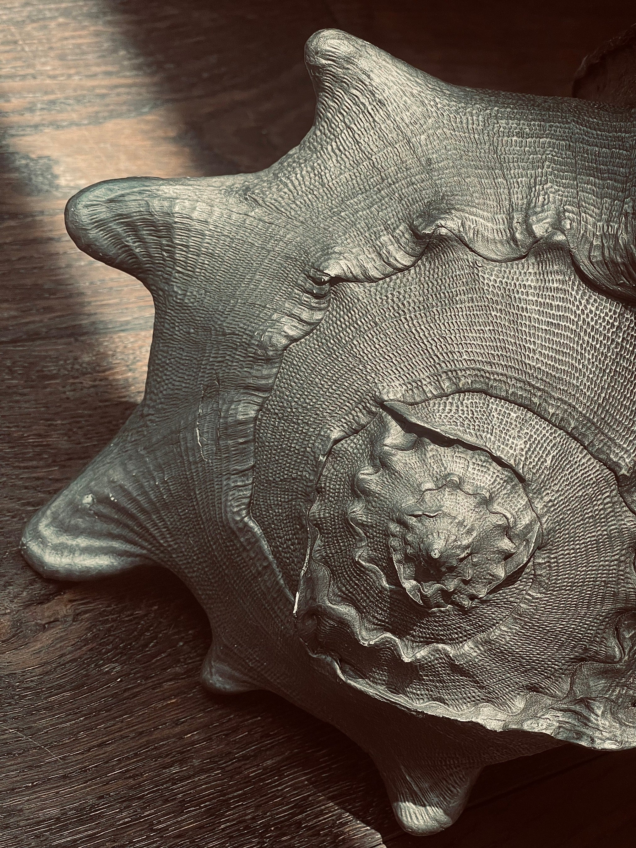 テレジータ・フェルナンデス 「Soliloquy(Taiza)」（部分）2022年