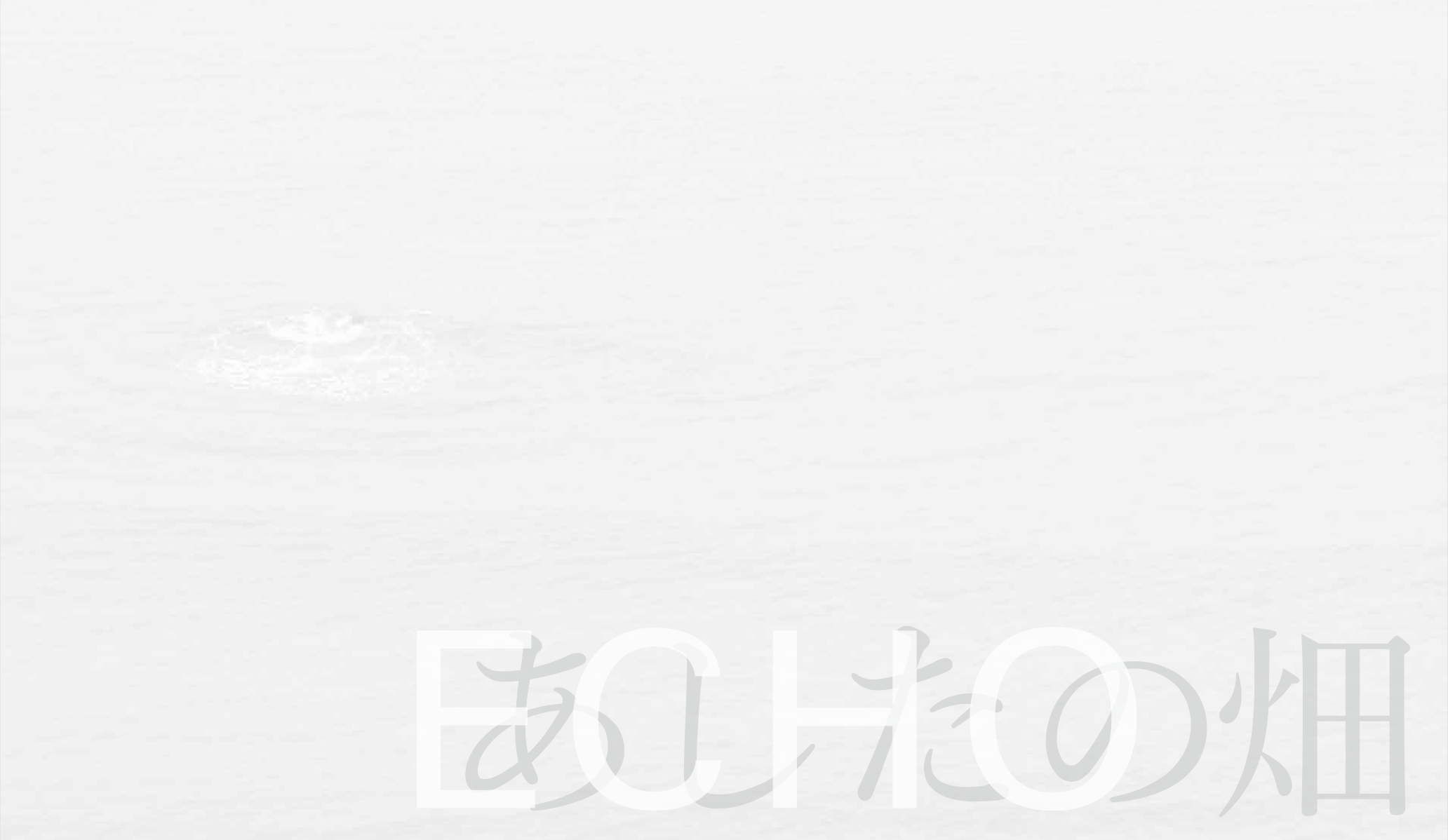 写真：鈴木心、デザイン：田中義久