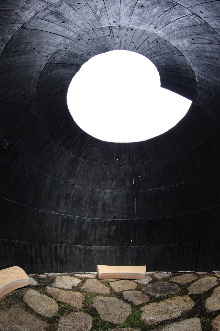 「Field of Stars」2023年