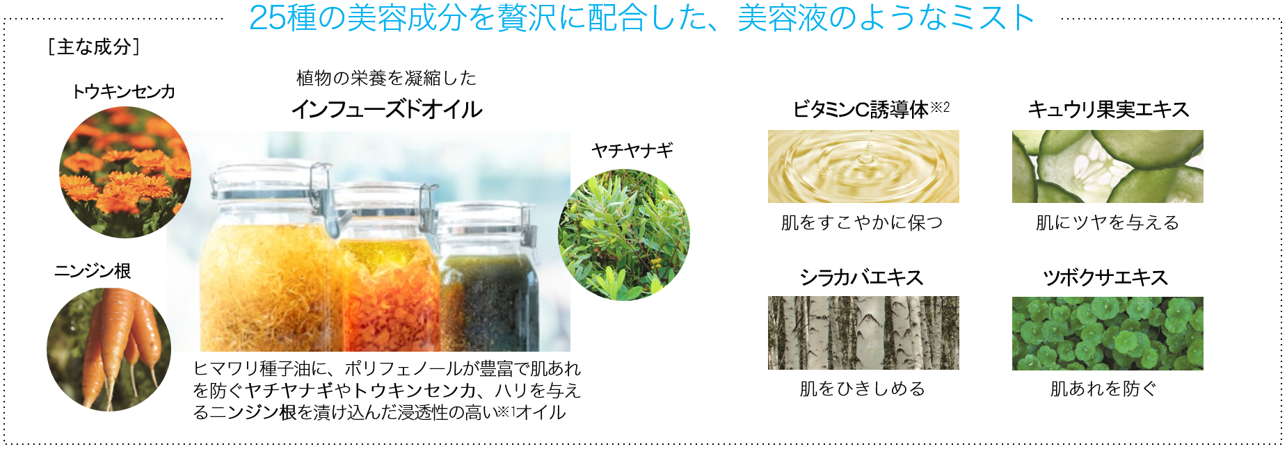 ※1.角層まで　※2.アスコルビルグルコシド