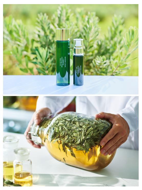 ハーブピーリングで、つるり、なめらかな肌へ。「メゾンレクシア