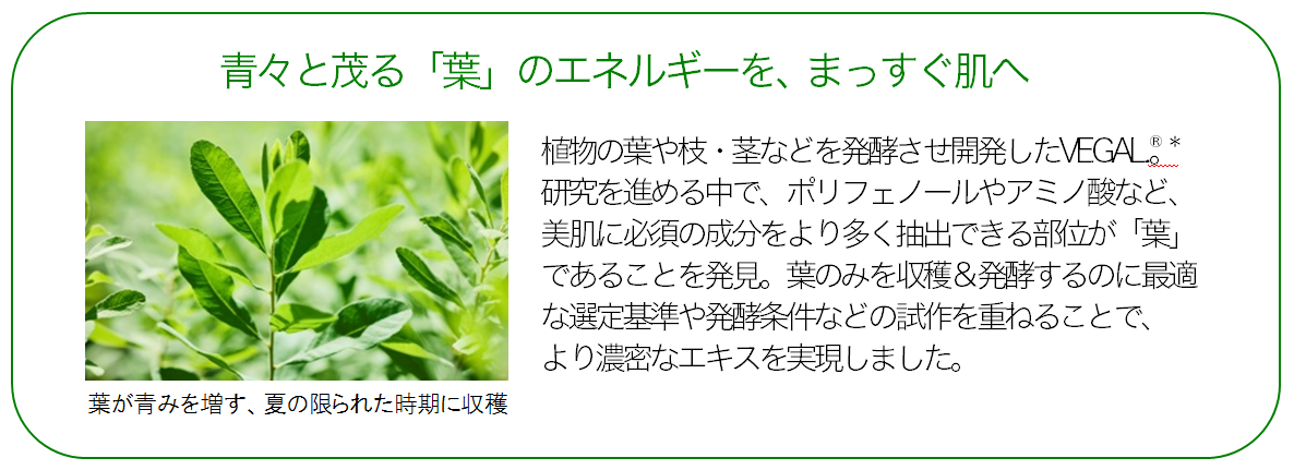 &nbsp;＊整肌保湿成分　※酵母発酵エキス中の成分含有量を従来品と比較