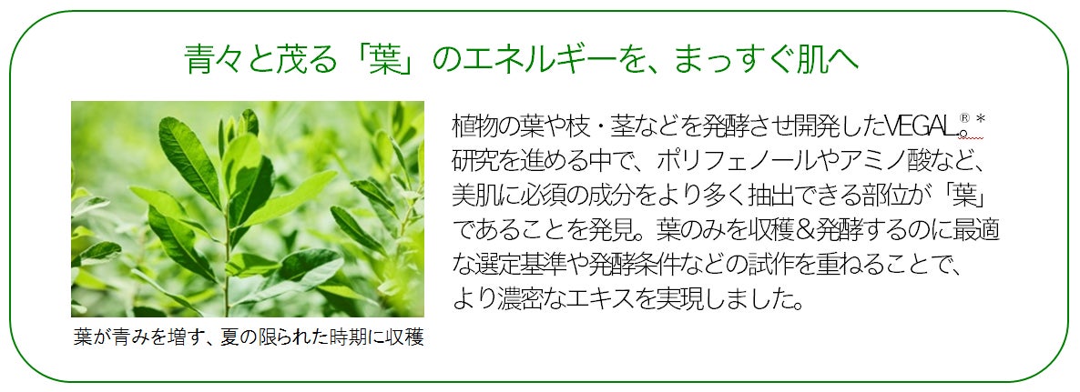 *整肌保湿成分 ※酵母発酵エキス中の成分含有量を従来品と比較