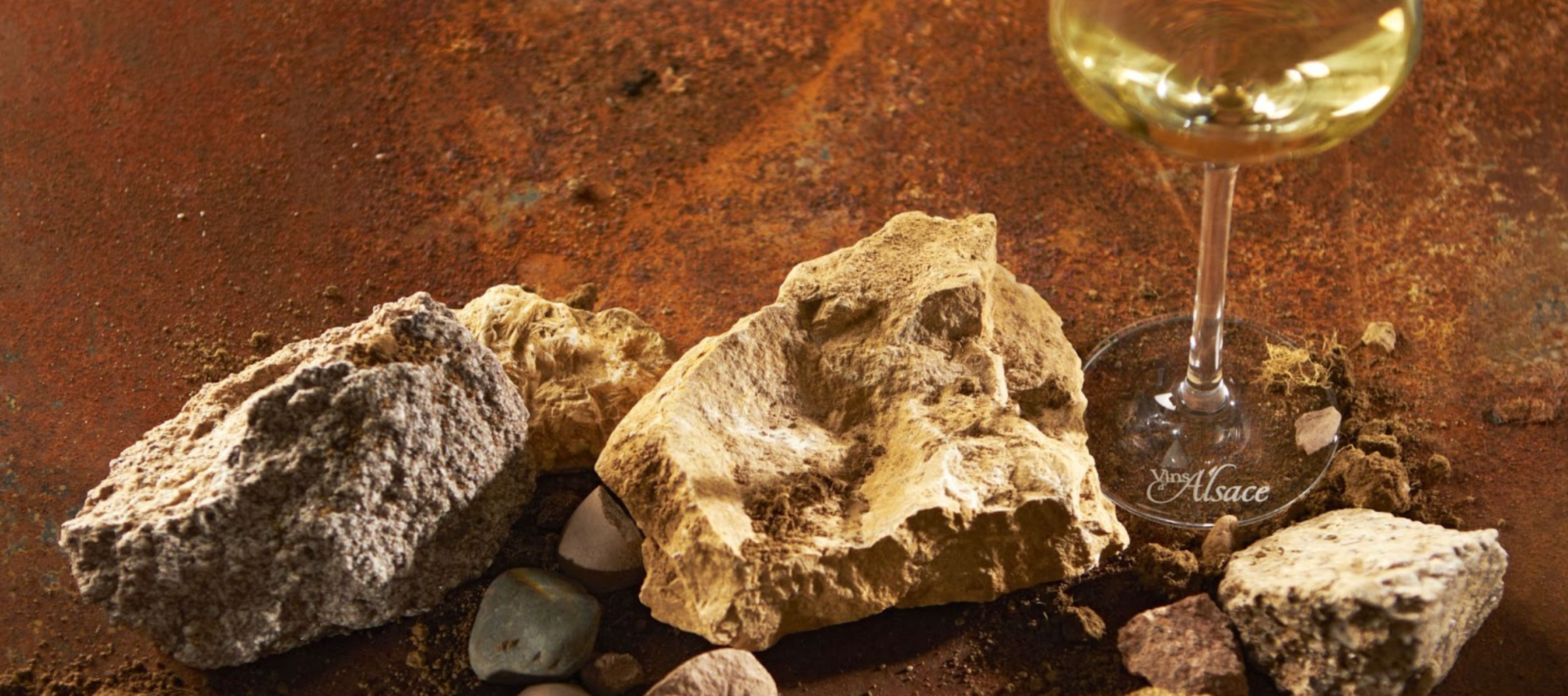 アルザス・ロワールワイン関連書籍 英語版 アルザス・ロワール産のピノ・ノワール / ワイン通販なら世界の