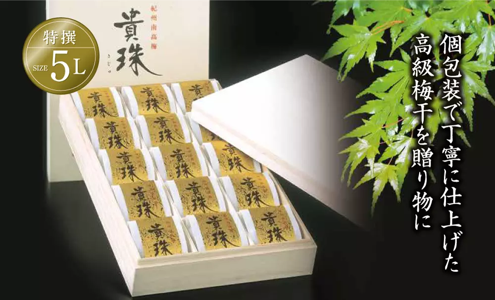 紀州南高梅「貴珠」個包装 はちみつ梅