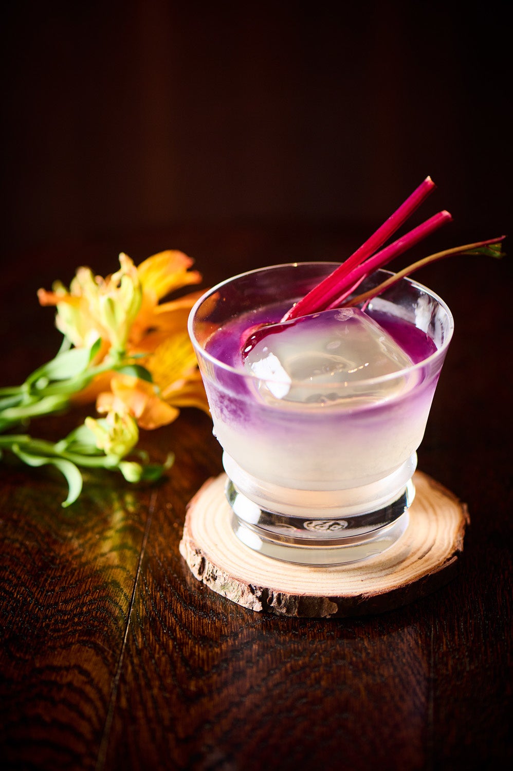 アース＆ネイチャー