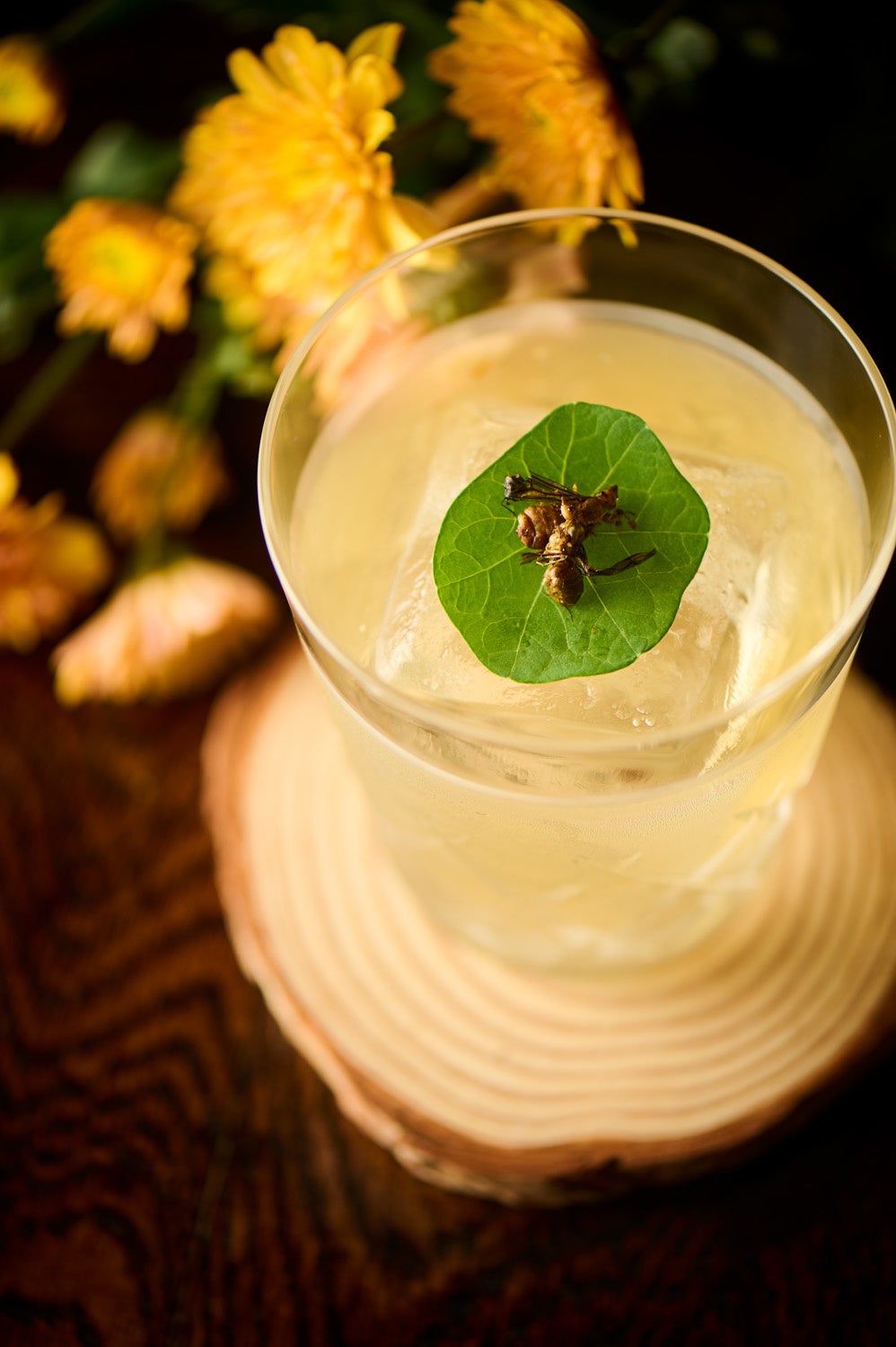 アマゾンネグローニ