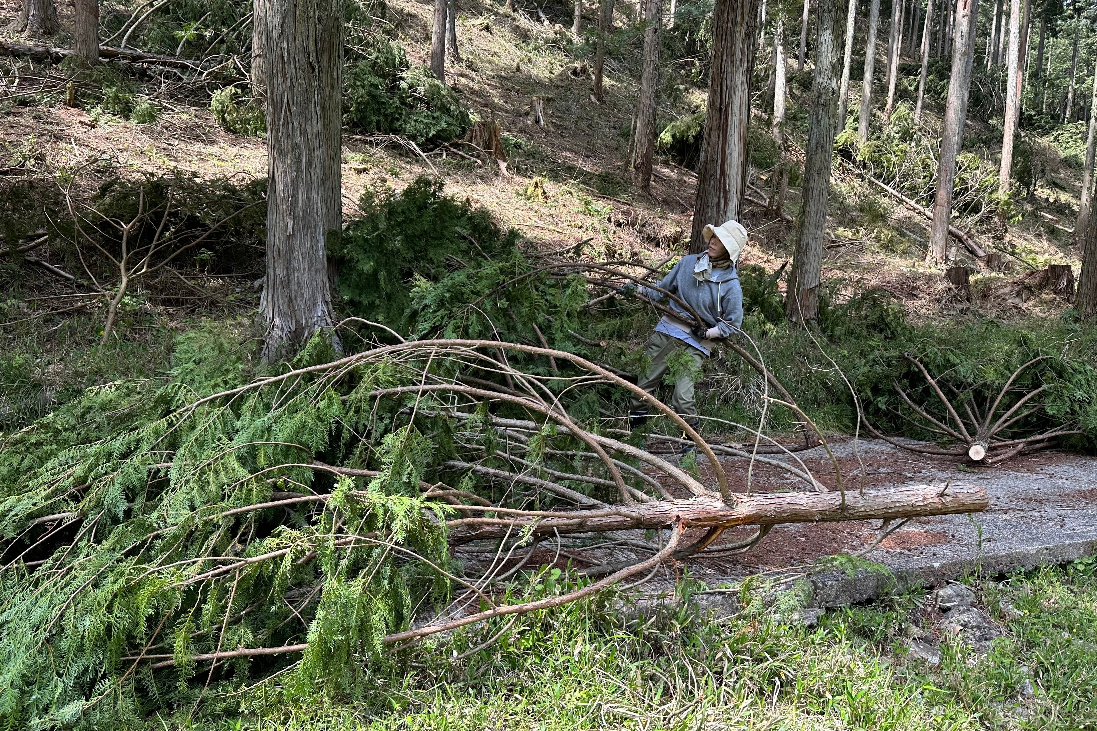 林地残材（未利用端材）の回収