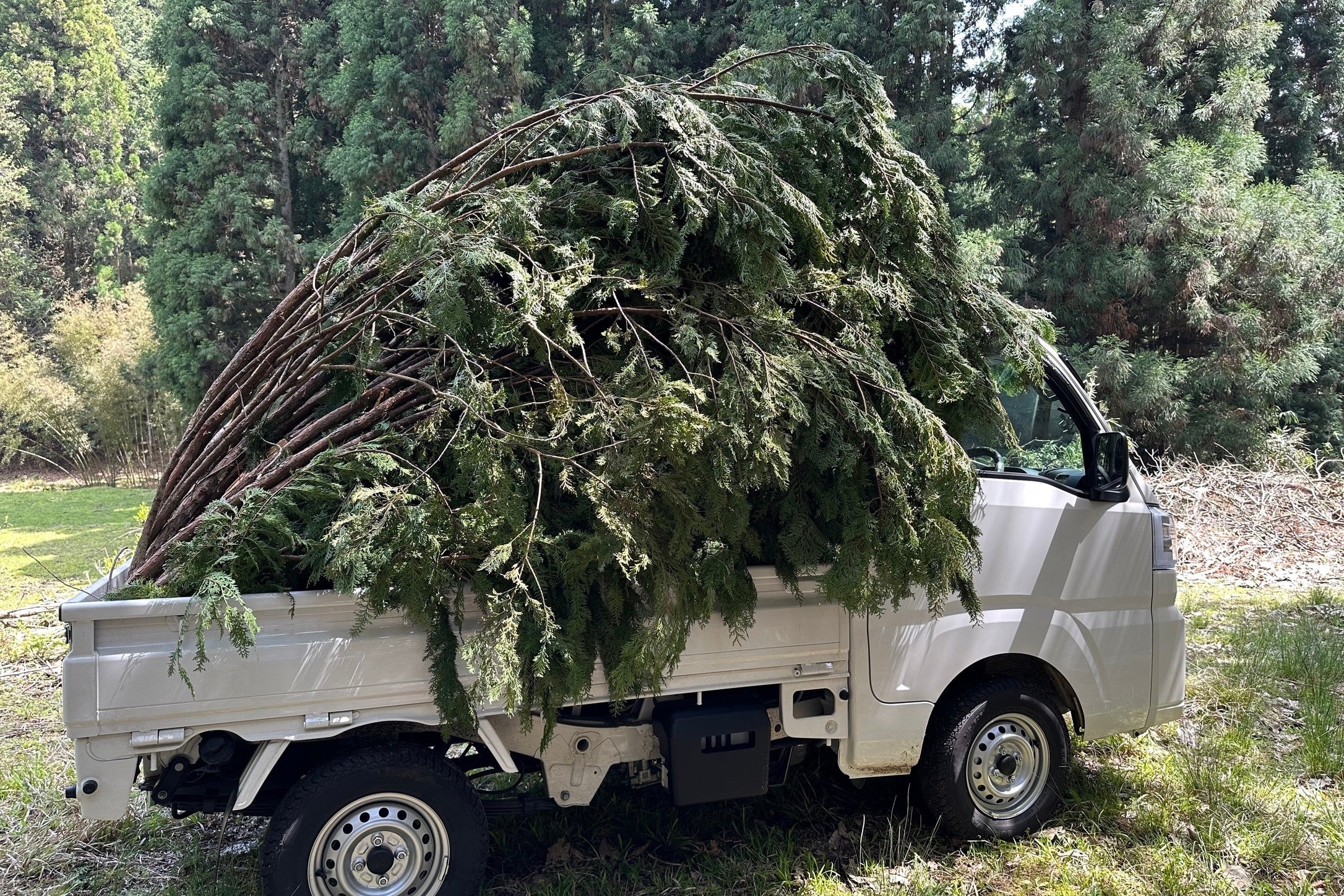 軽トラで製材所まで運びます。