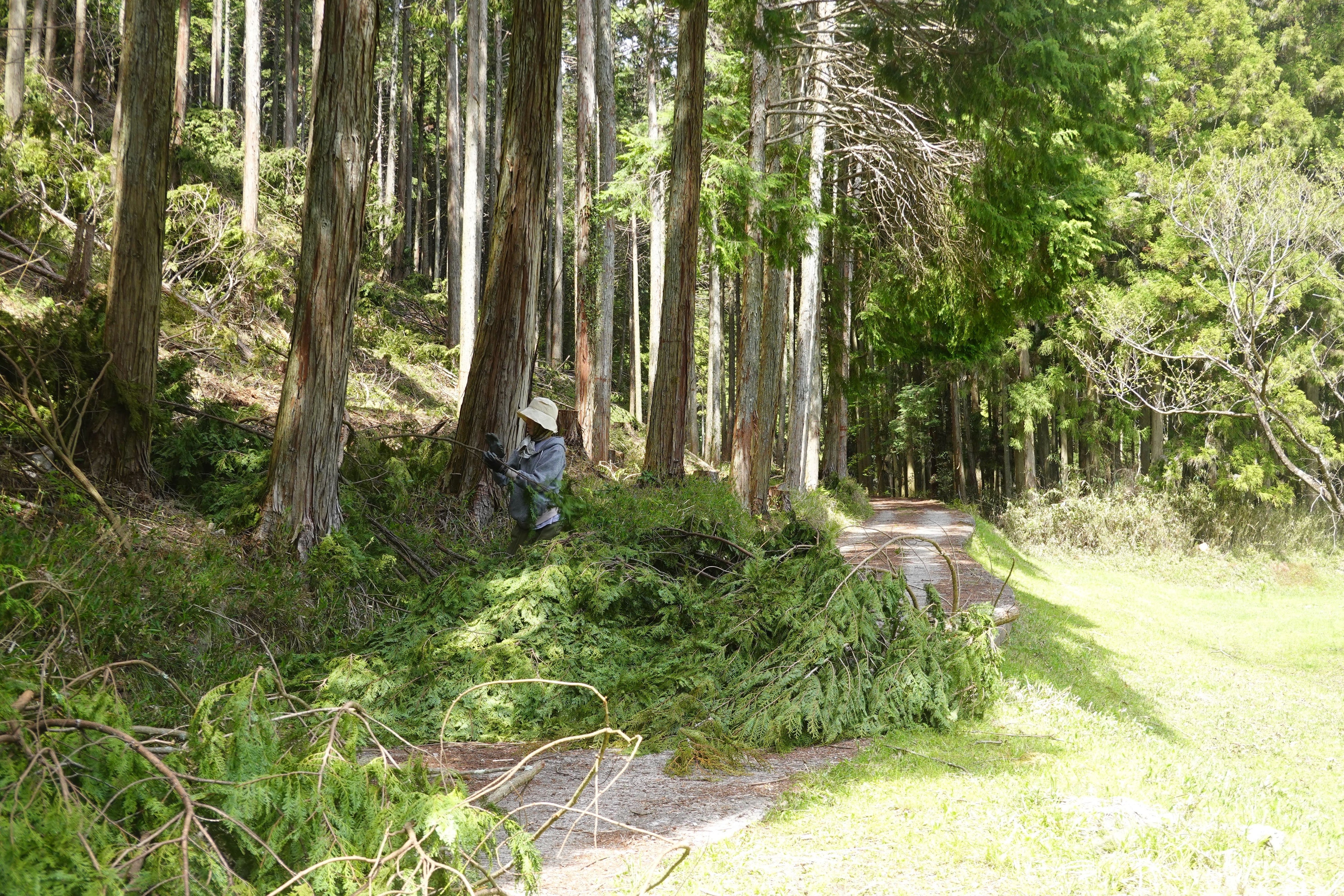 林地残材の回収作業