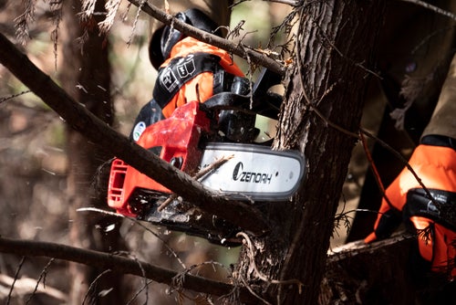 放置林の間伐作業