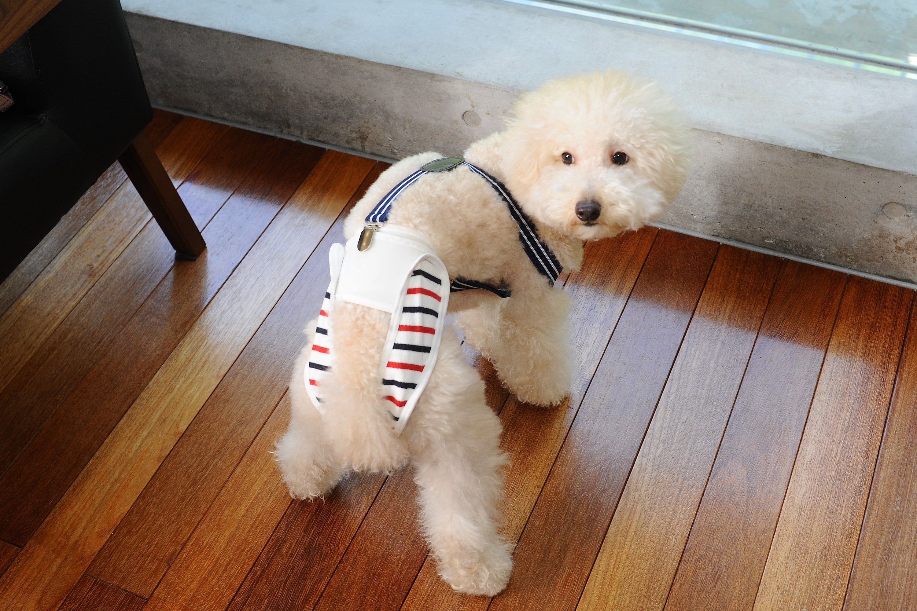 ズレが気になる場合はサスペンダーの着用もおすすめ