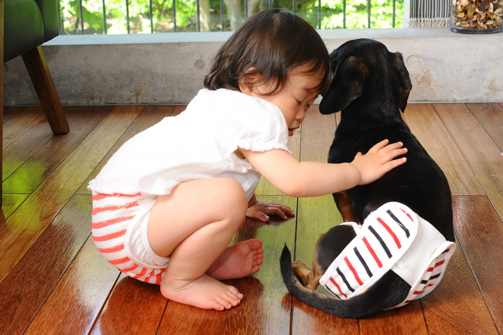 赤ちゃんへのやさしさを、愛犬にも