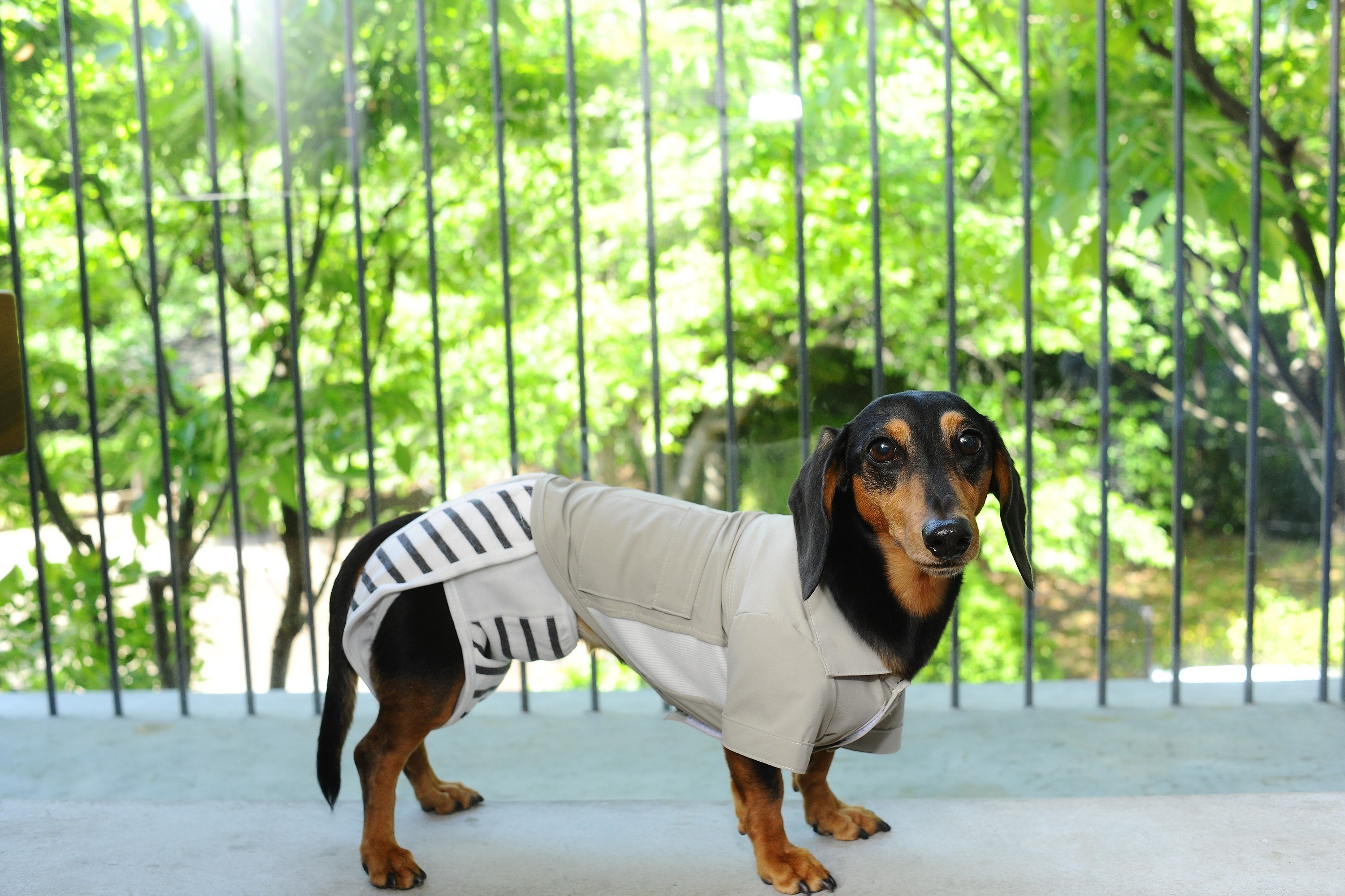 お手持ちのお洋服にマジックテープをつけて固定しても◎