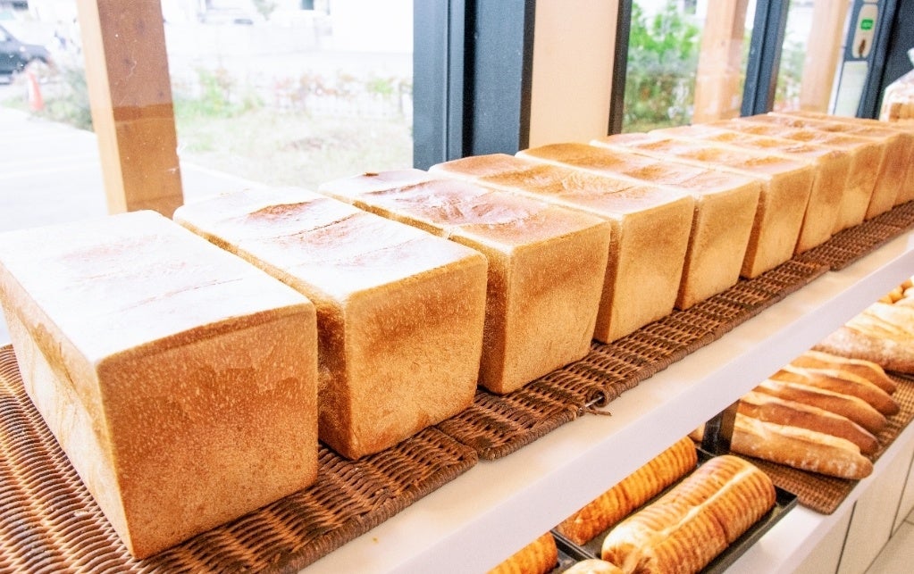 東北初出店 ペンギンベーカリー秋田東通店 6月17日オープン 株式会社ペンギンのプレスリリース 東北初出店 ペンギンベーカリー秋田東通店 6月17日オープン 株式会社ペンギンのプレスリリース