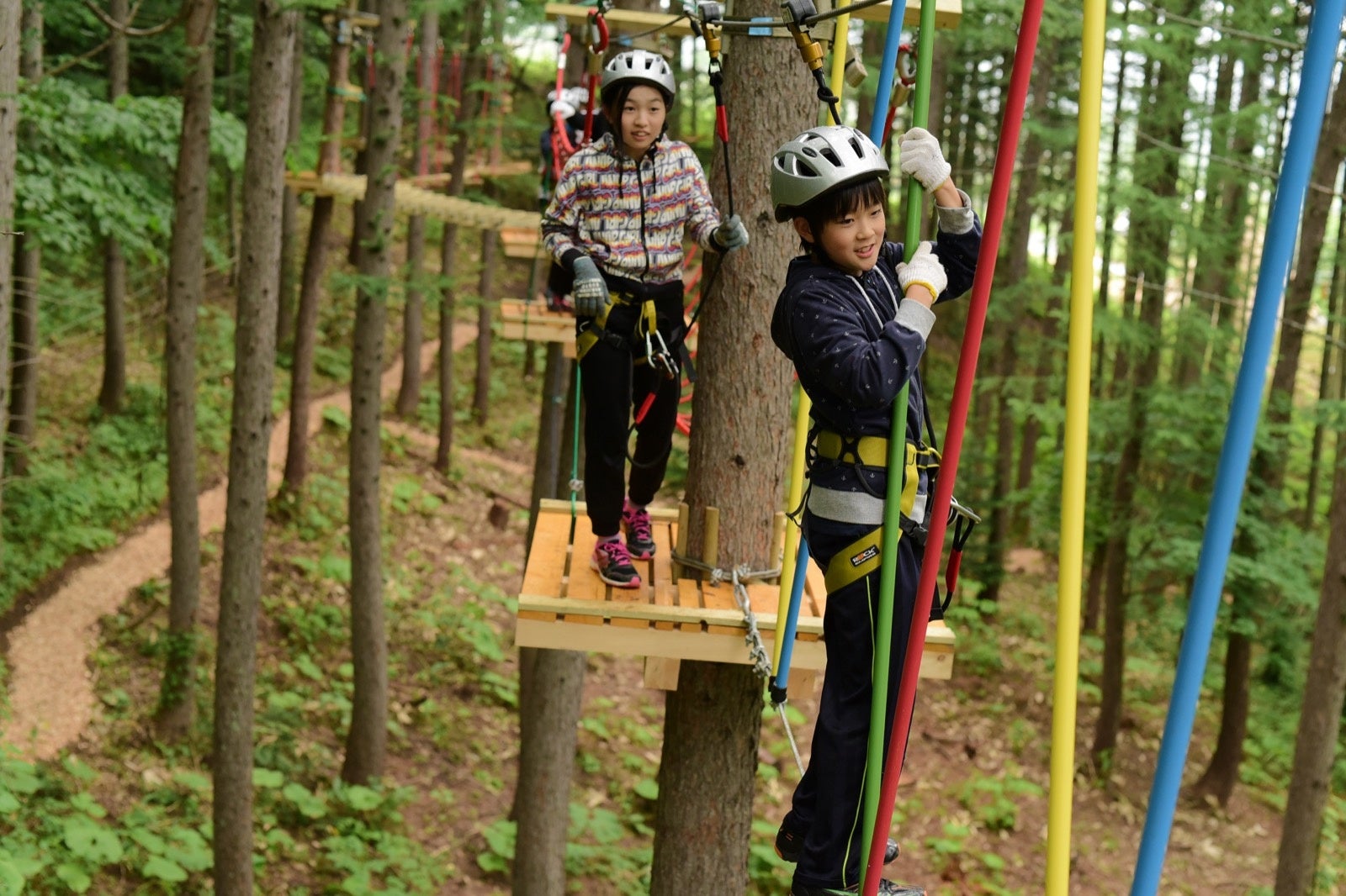 ツリートレッキングなどのアクティビティ