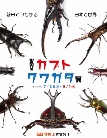 子どもたちに大人気のカブトムシ、クワガタムシが世界から大集合「世界 子どもたちに大人気のカブトムシ、クワガタムシが世界から大集合「世界