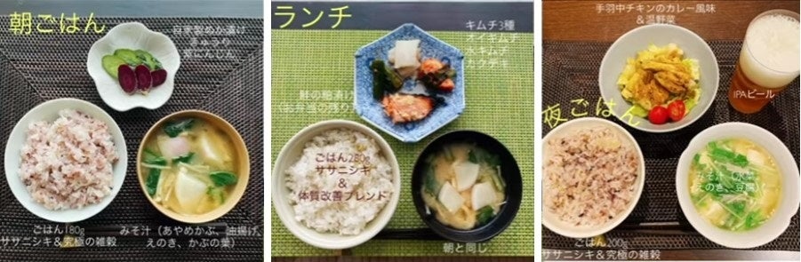 (1日3食の一例)