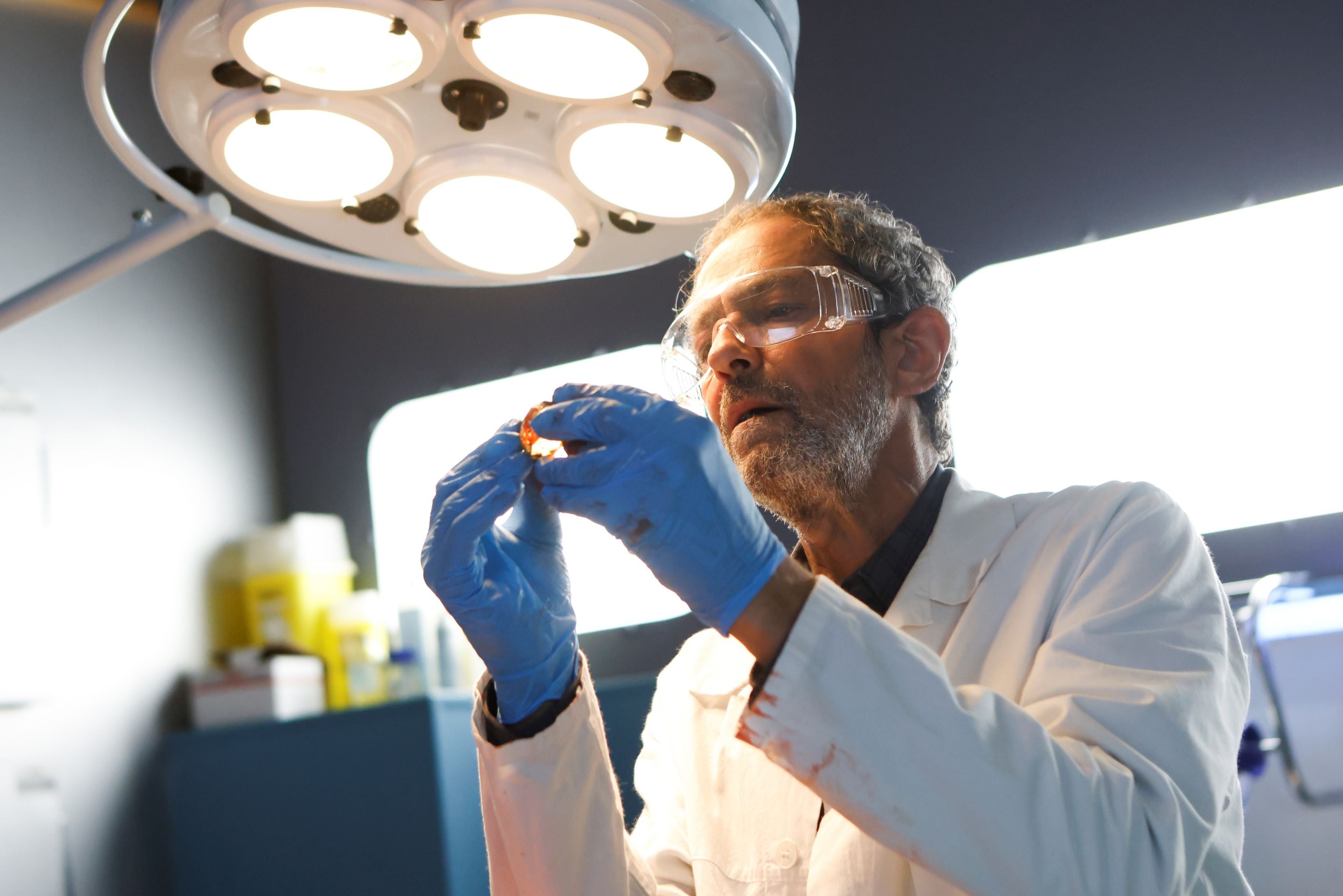 © Philippe LE ROUX - FTV - JLA