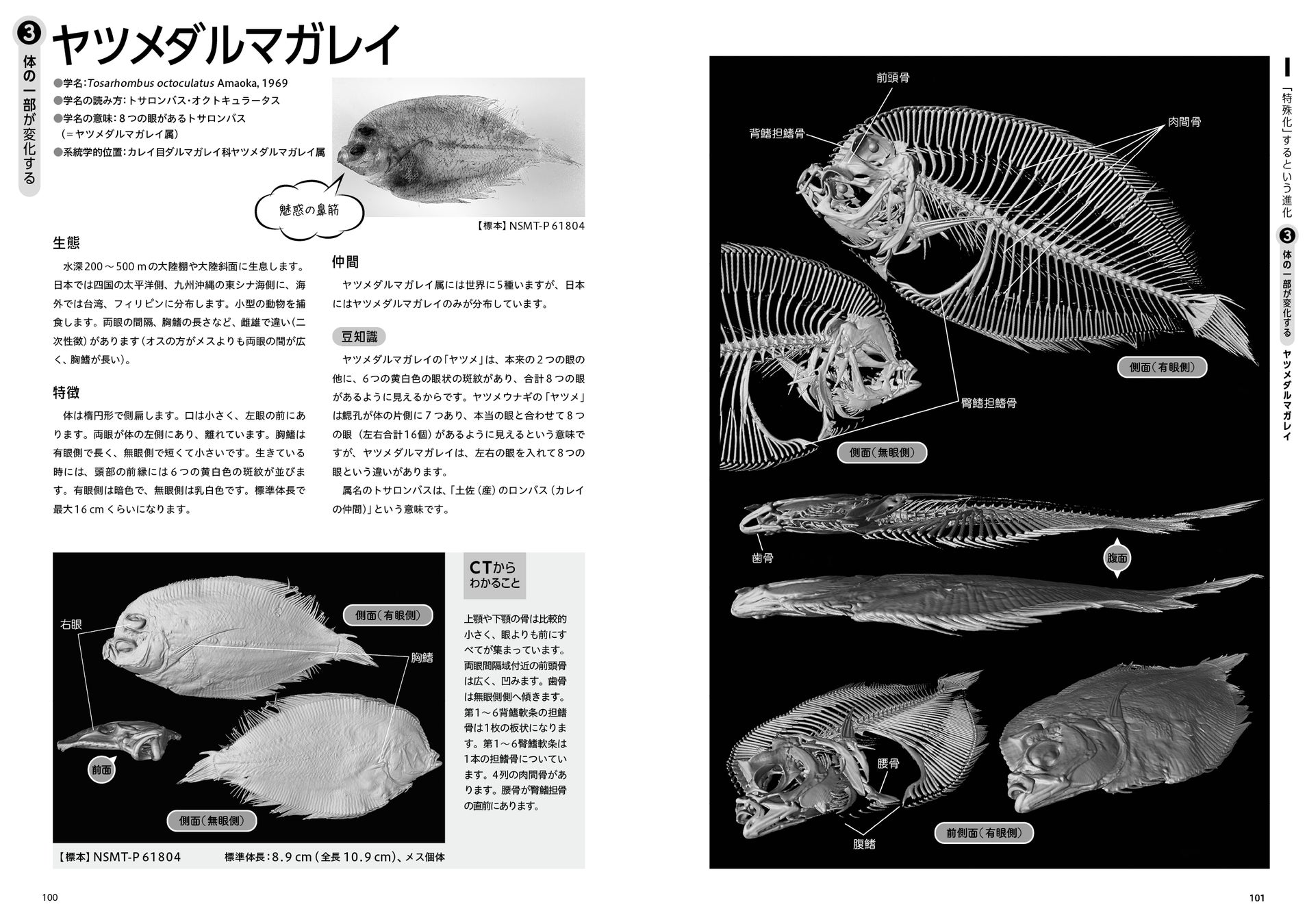 謎多き深海魚をctスキャンした画像集 深海魚コレクション エックス線ctで探る不思議な姿 8 26発売 株式会社オーム社のプレスリリース 謎多き深海魚をctスキャンした画像集 深海魚コレクション エックス線ctで探る不思議な姿 8 26発売 株式会社オーム社のプレスリリース