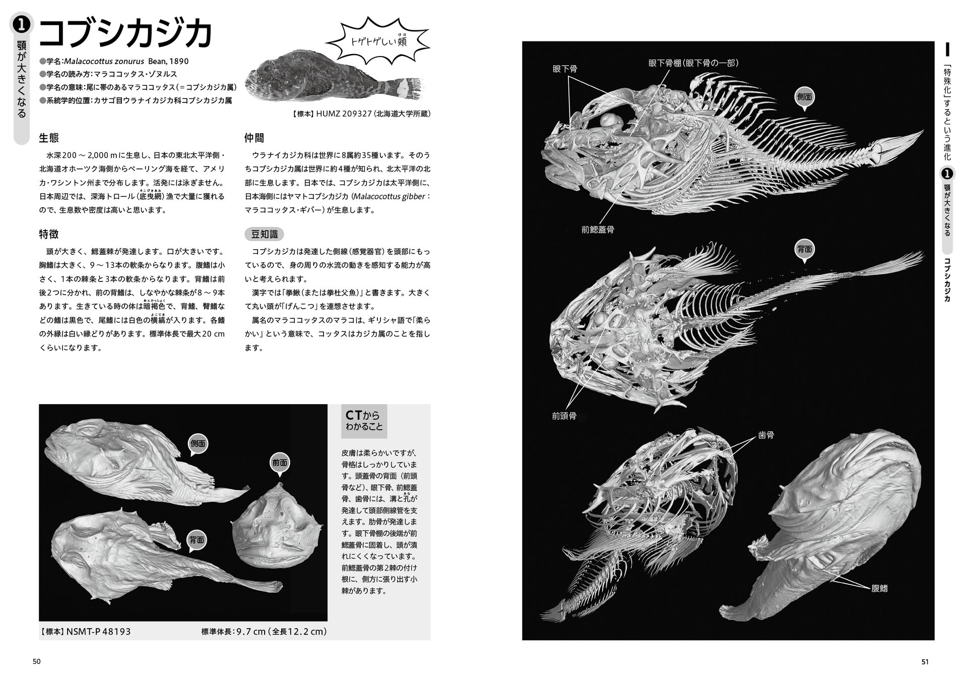 謎多き深海魚をctスキャンした画像集 深海魚コレクション エックス線ctで探る不思議な姿 8 26発売 株式会社オーム社のプレスリリース 謎多き深海魚をctスキャンした画像集 深海魚コレクション エックス線ctで探る不思議な姿 8 26発売 株式会社オーム社のプレスリリース