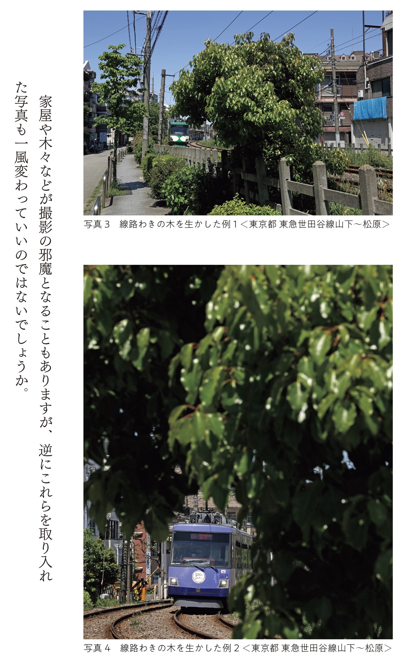 ▲線路わきの木を生かす（p.19、写真：結解 学）