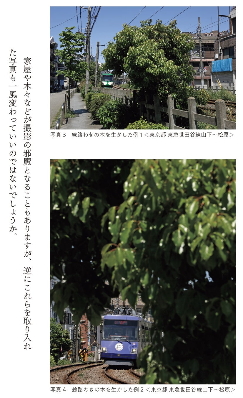 ▲線路わきの木を生かす(p.19、写真:結解 学)