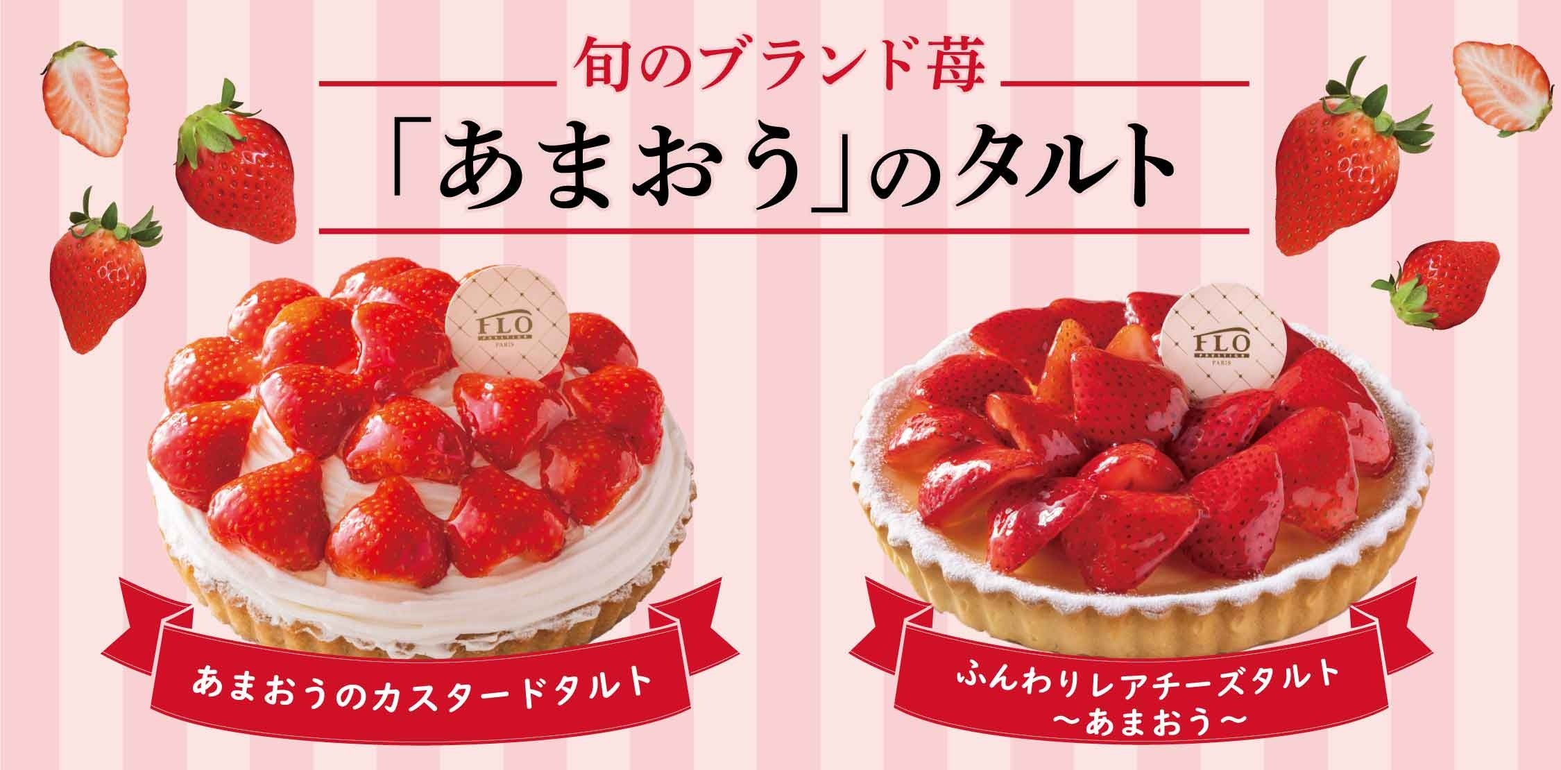 MelloJoy タルトシリーズ レア MelloJoy タルトシリーズ レア 419481ed72d1b99c5daf1775fe8c8f