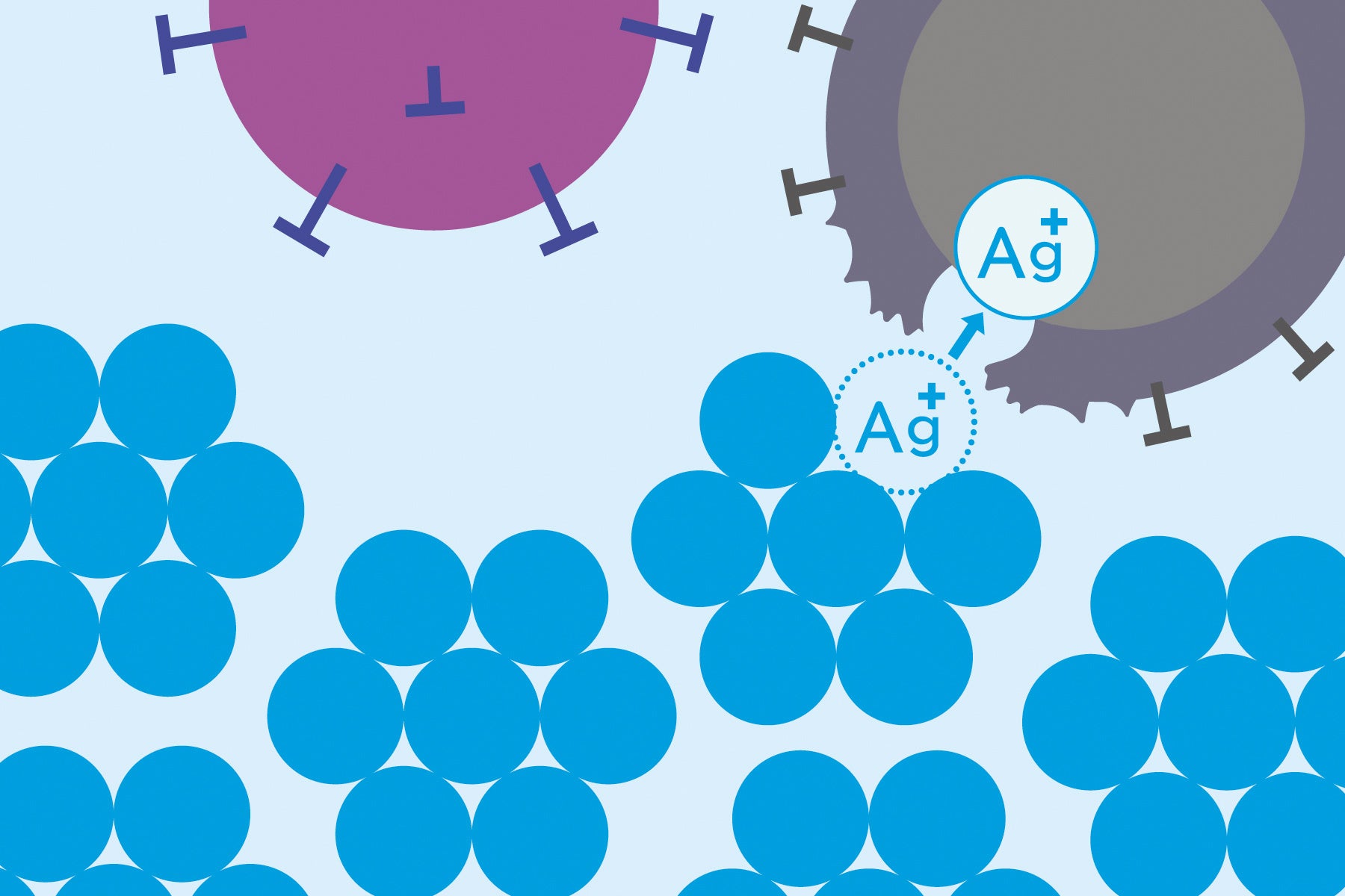 銀ナノ粒子から次々と供給される銀イオンが菌やウイルスを攻撃
