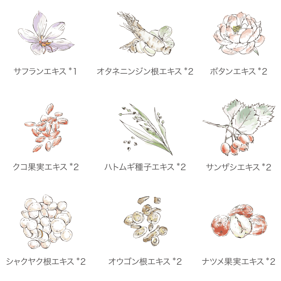 ef77 ローション　エマルジョン　保湿クリーム　フルベール化粧品　和漢植物薬草 ef77 ローション エマルジョン 保湿クリーム フルベール化粧品 和漢