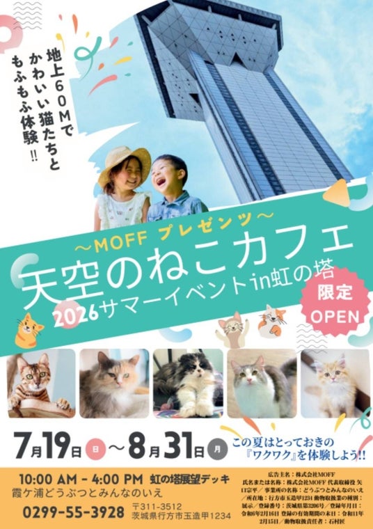 地上60mの空の上で、猫と出会う夏。 地上60mの空の上で、猫と出会う夏。