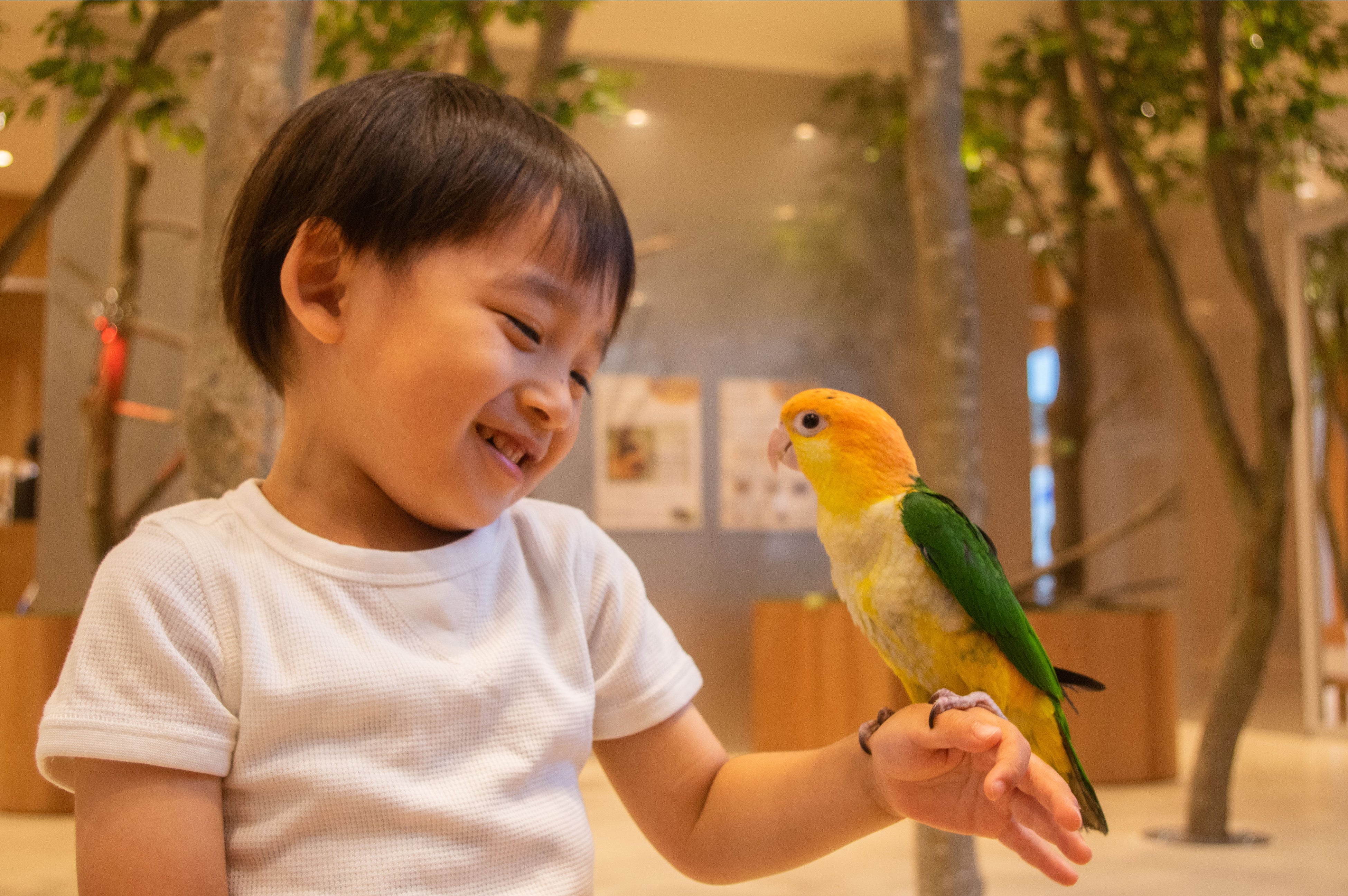 インコにメロメロ