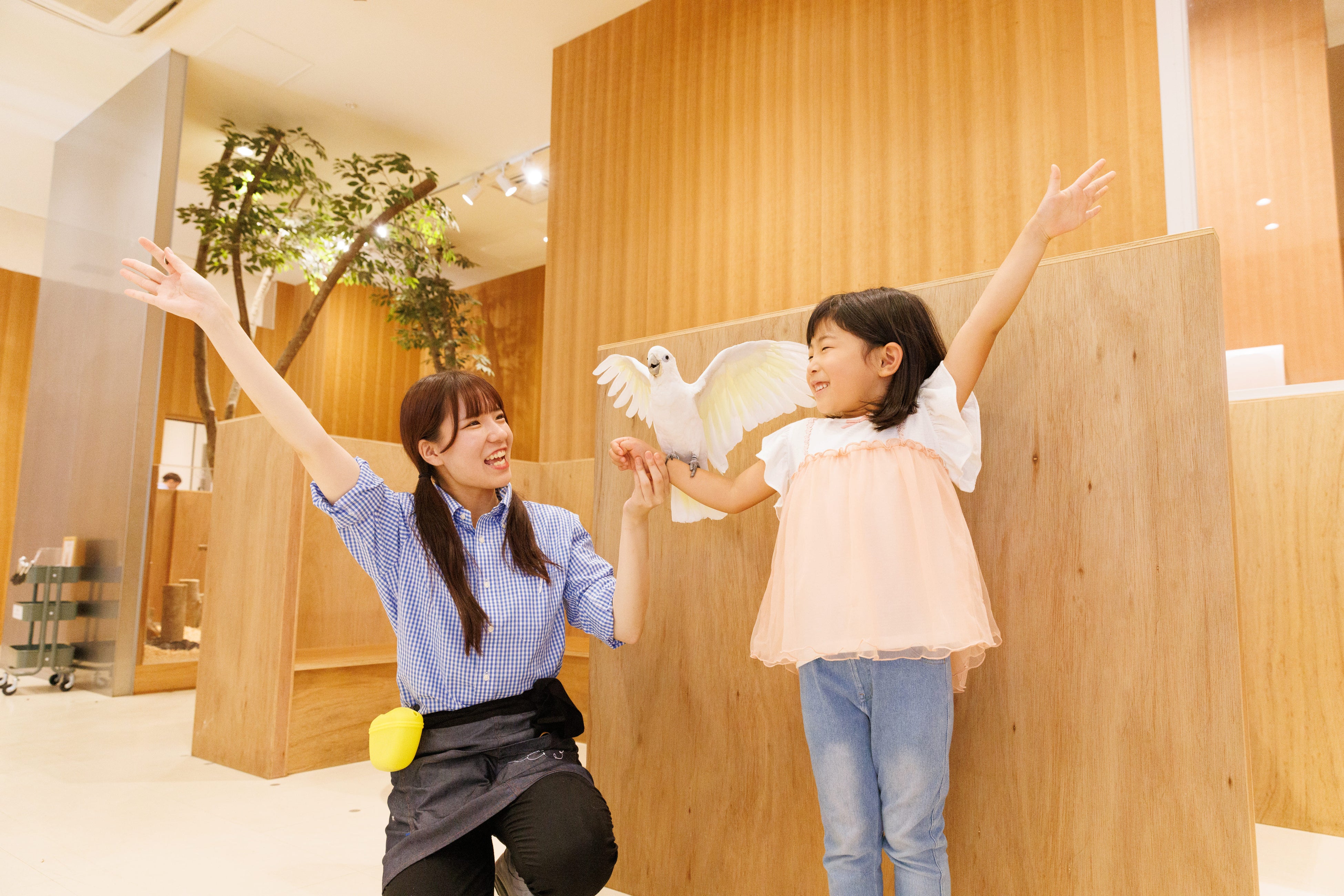 Moff animal cafe』原宿・竹下通りに11月27日オープン！“どうぶつとの