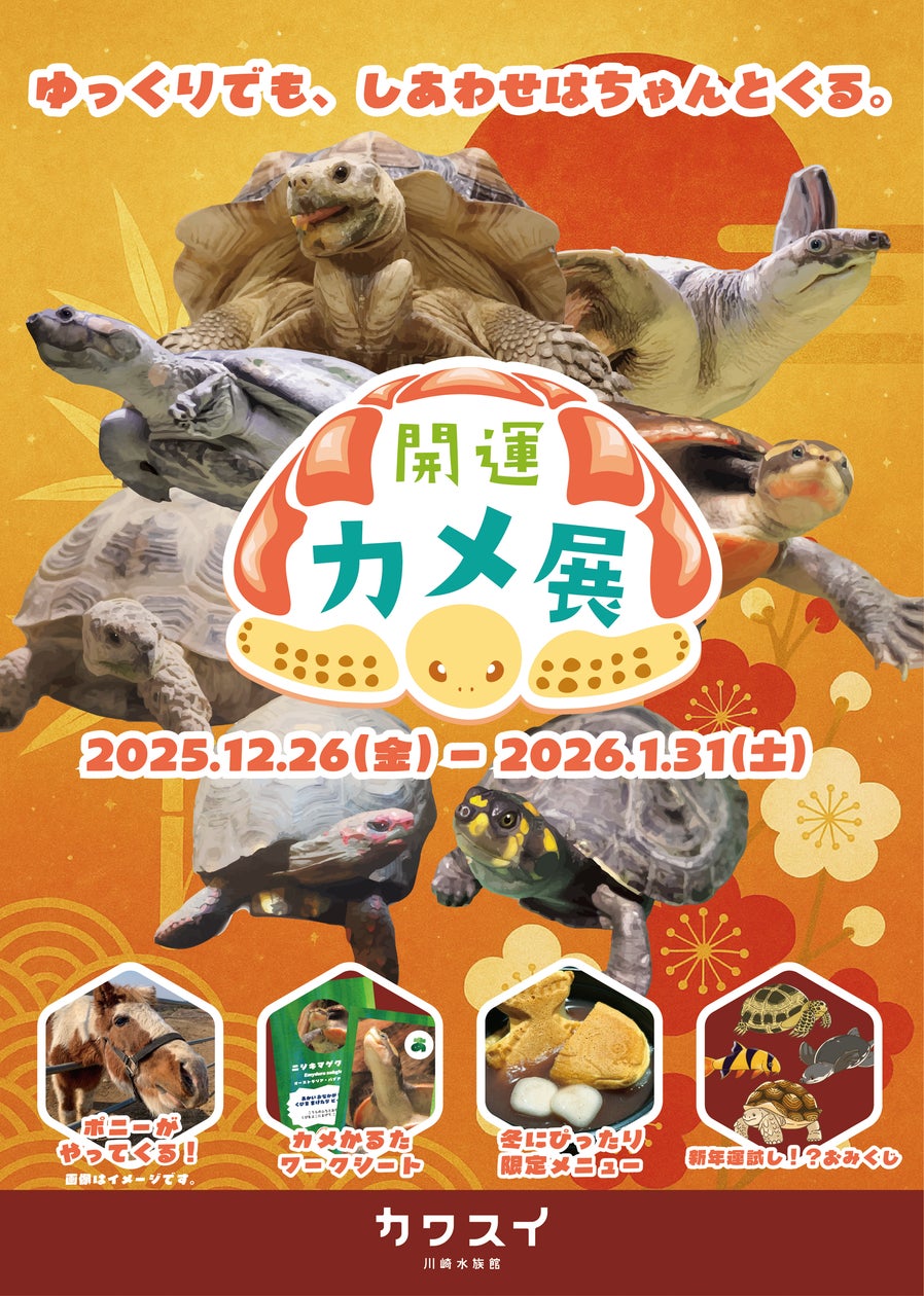 カワスイ 川崎水族館】縁起の良いカメ&干支のポニーが集合!家族で カワスイ 川崎水族館】縁起の良いカメ&干支のポニーが集合!家族で