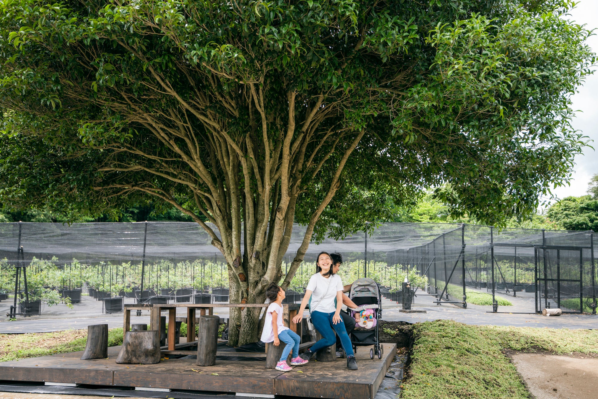 木陰テラスでのんびり