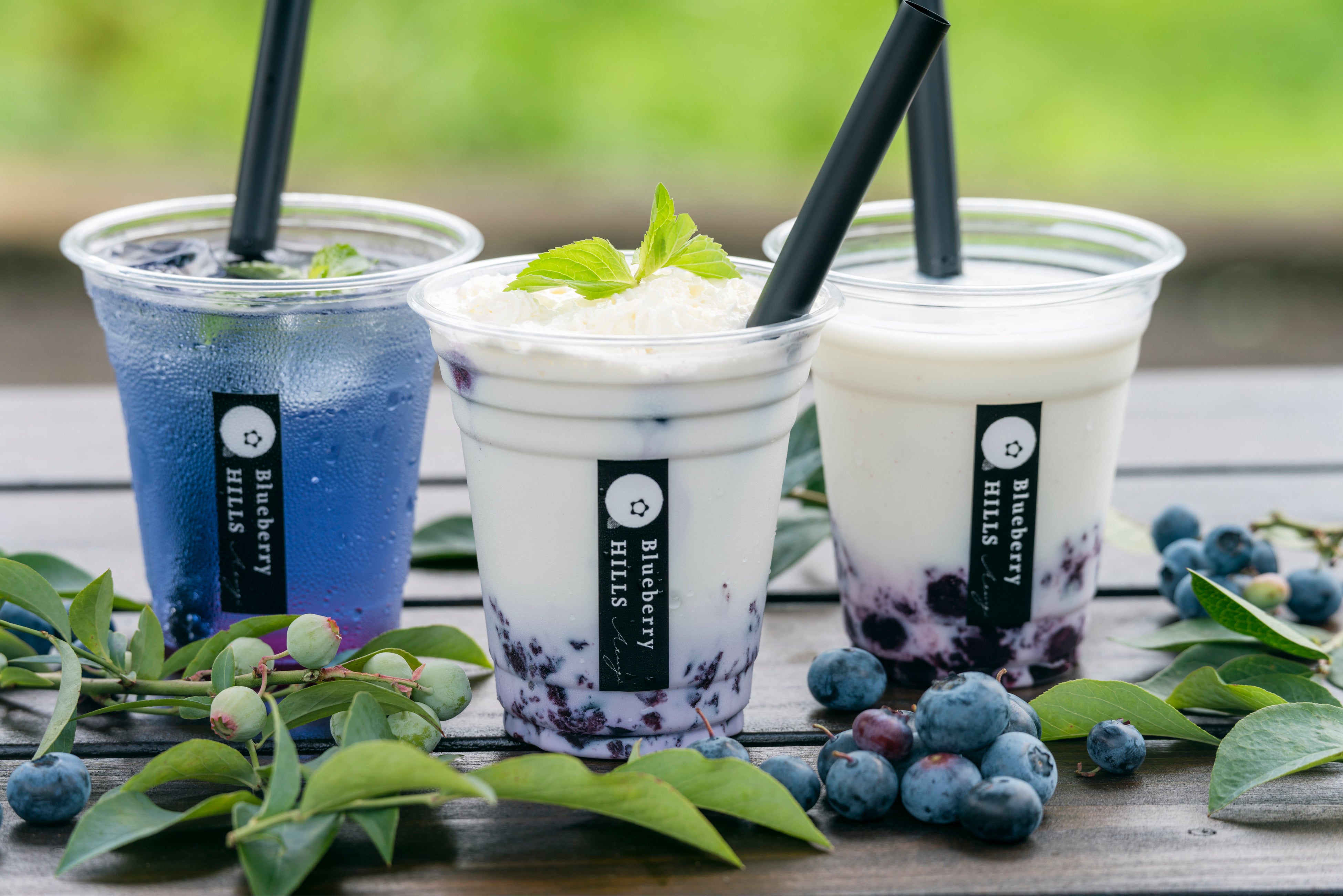 ブルーベリーのひんやりドリンク