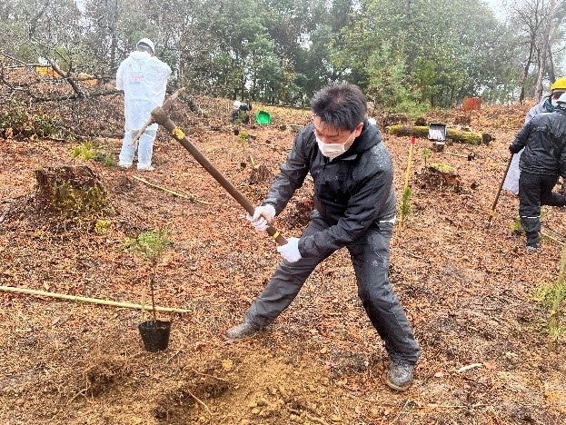 植樹の様子