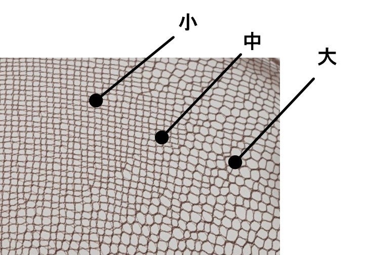 ネットの立ち上げイメージ