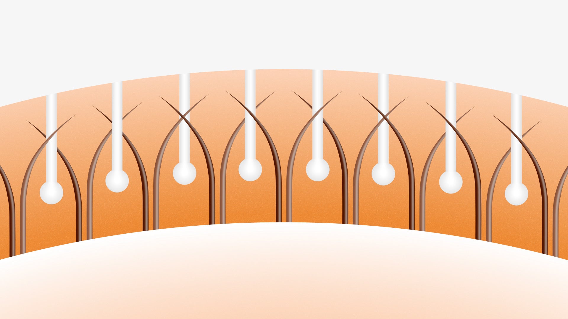 自髪をキャッチする新開発の簡単ストッパー 『スマートタッチ』（イメージ）