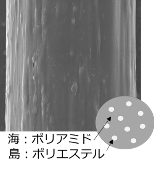 海島構造の表面画像