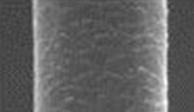 人毛の表面画像